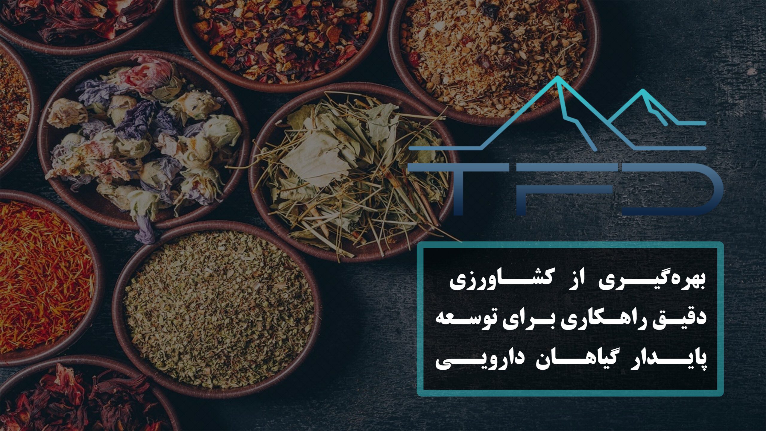 بهره‌گیری از کشاورزی دقیق راهکاری برای توسعه پایدار گیاهان دارویی